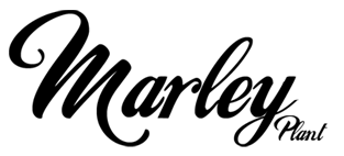 Plantek